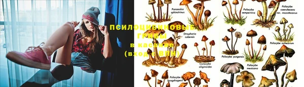 амфетамин Михайлов