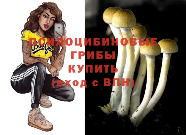 трава Михайловск