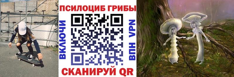 закладка  Заволжск  Галлюциногенные грибы прущие грибы 